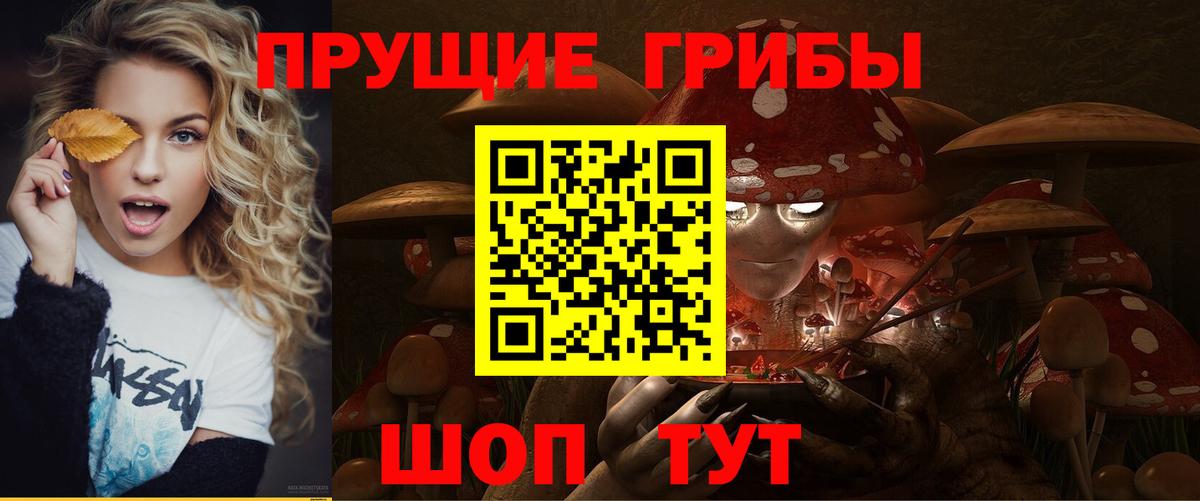 Галлюциногенные грибы Psilocybe Магадан